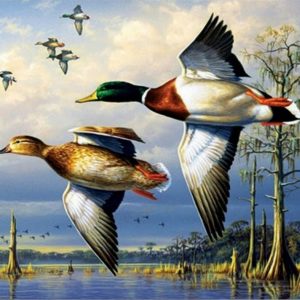 Ducks Paint By Number