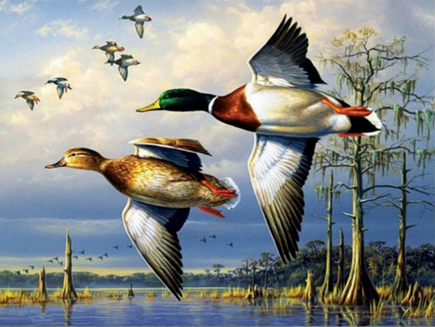 Ducks Paint By Number